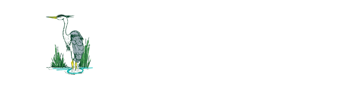 Fens Primary School